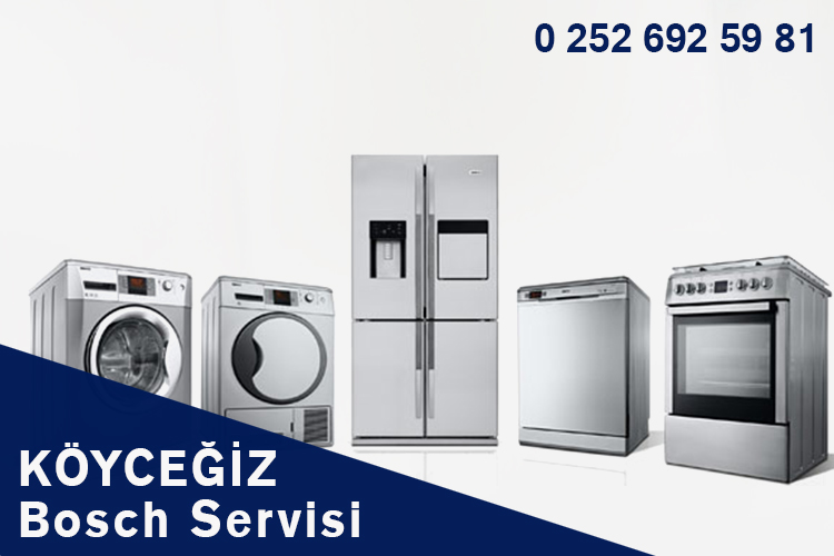 Köyceğiz Bosch Servisi